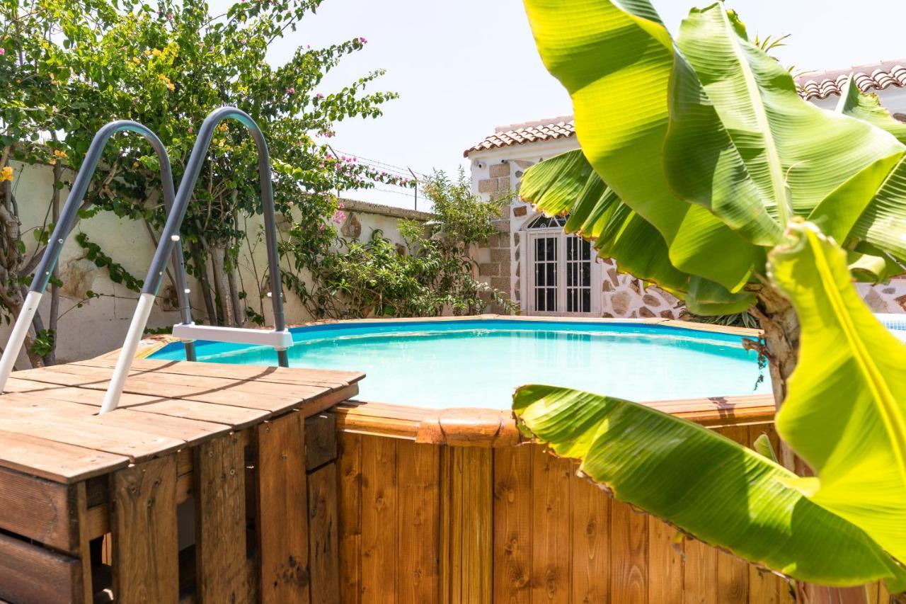 Guest House Villa Neon Tenerife 阿罗纳 外观 照片