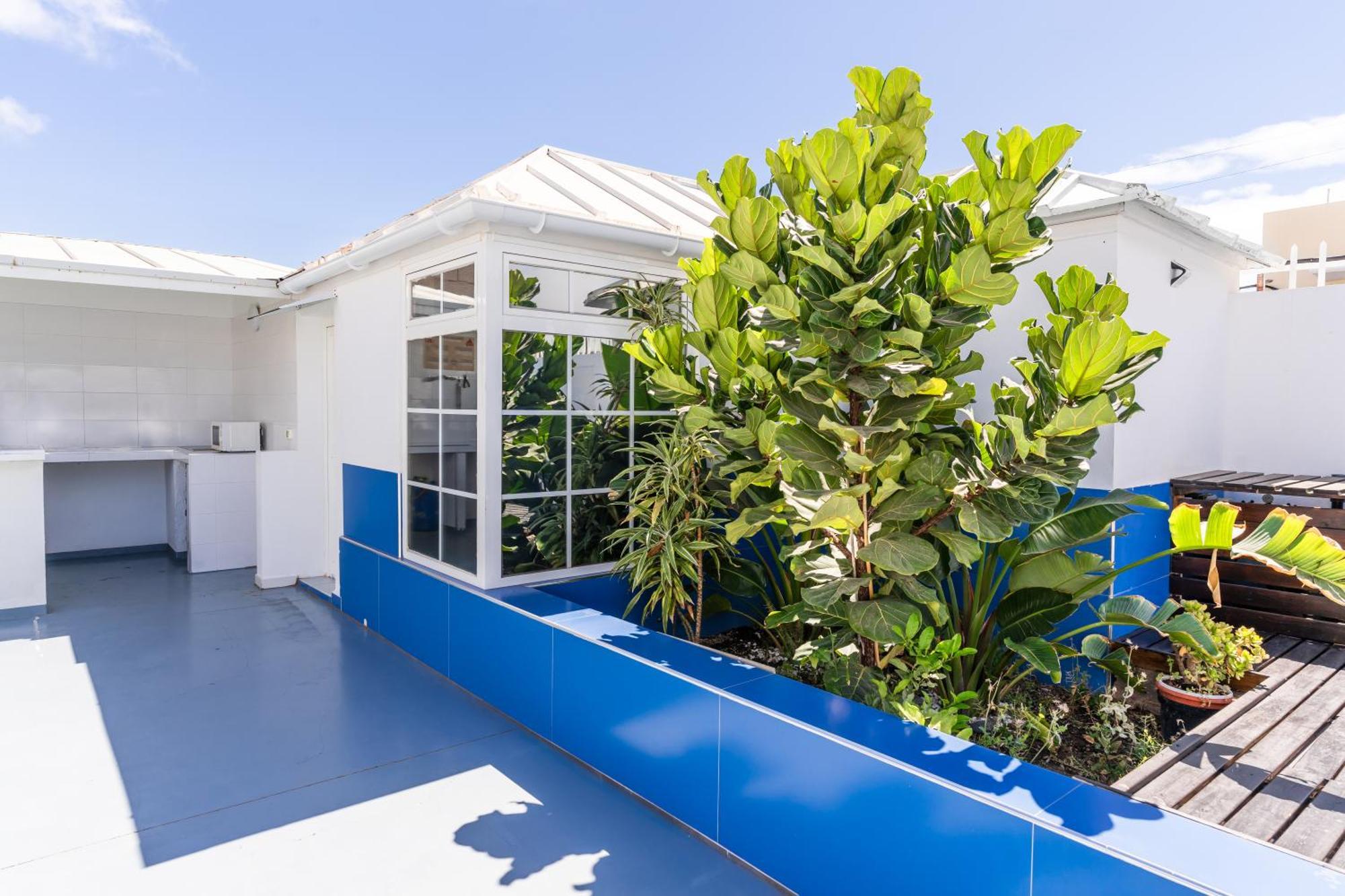 Guest House Villa Neon Tenerife 阿罗纳 外观 照片